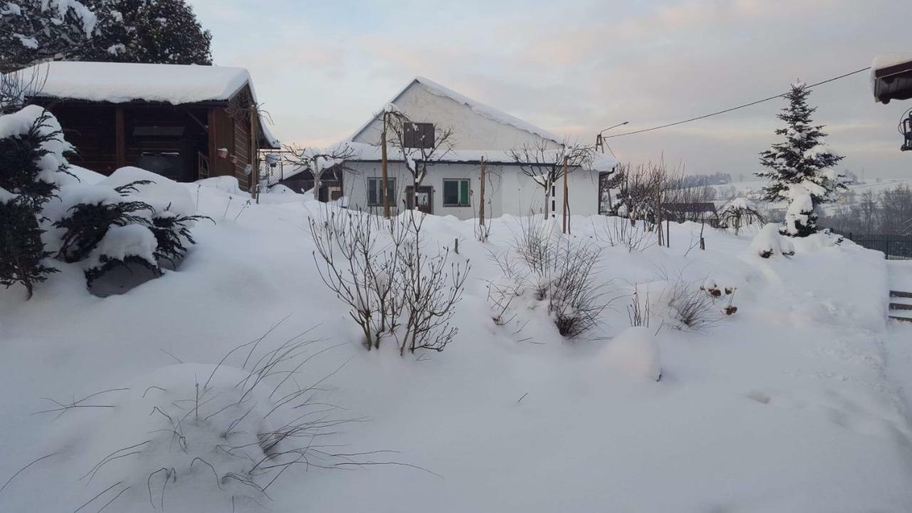 Stas -Przy Szkole Nr 3 W Skawie Skawa Extérieur photo