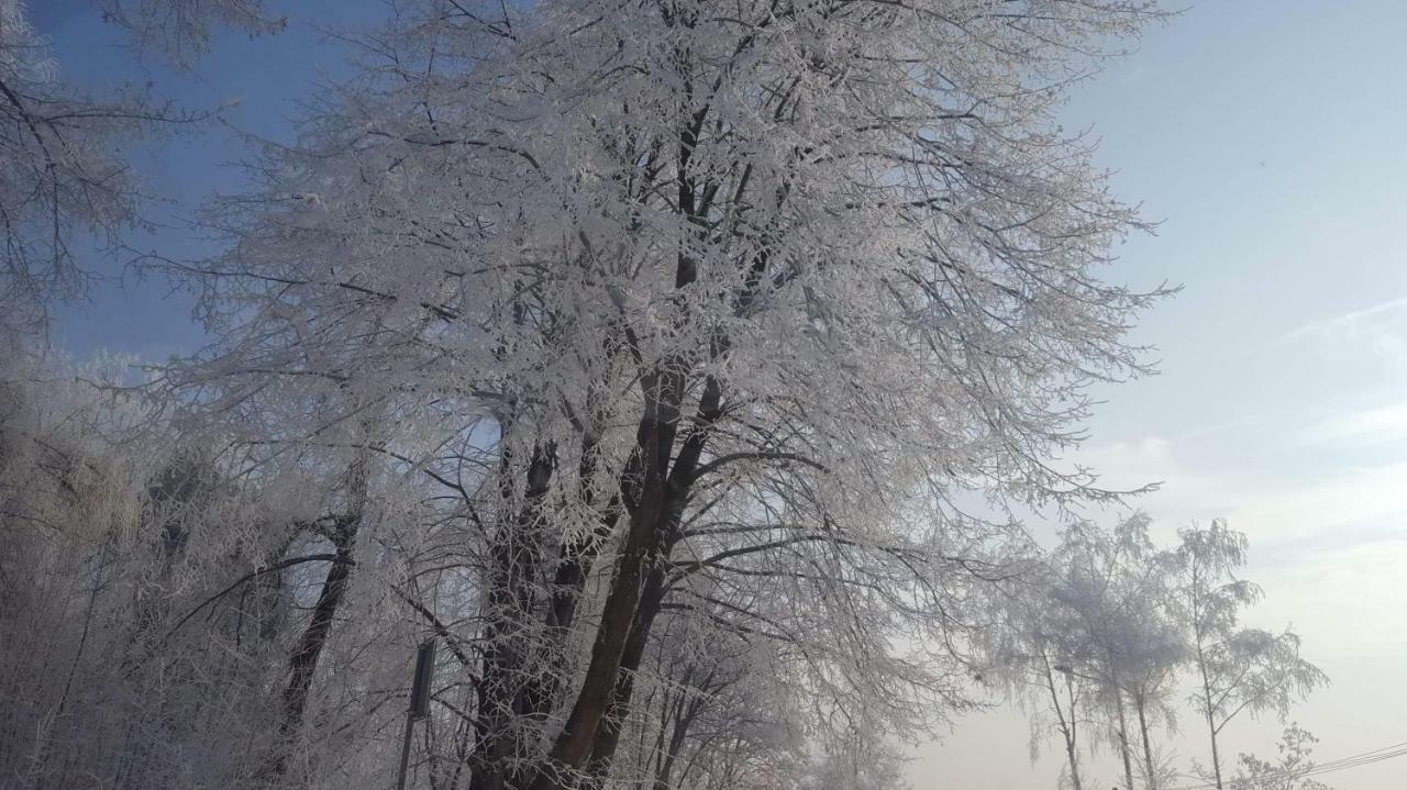 Stas -Przy Szkole Nr 3 W Skawie Skawa Extérieur photo